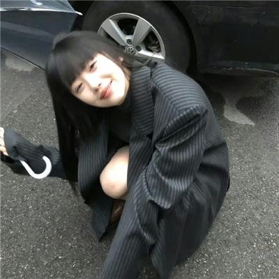 狗狗情缘