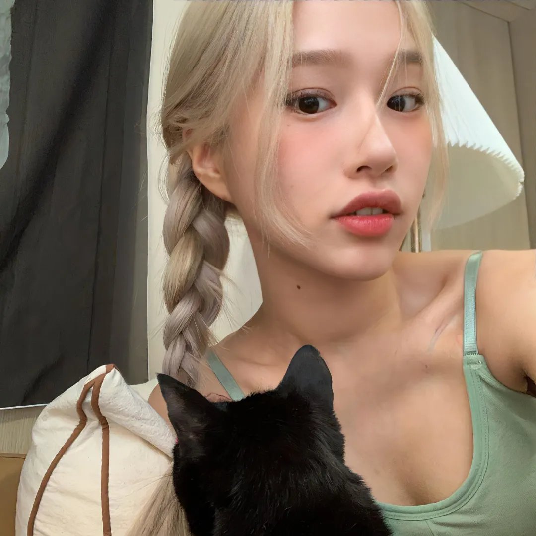 狗狗监护权